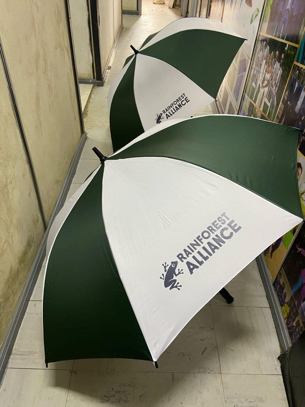 Umbrellas, photo 1 of 2